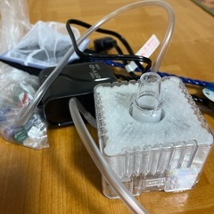 初心者向け金魚飼育セットの画像