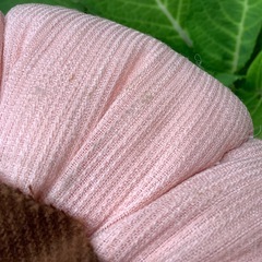 パンプキン　布製　綿入れ　かぼちゃ　2点　オブジェ　置物の画像