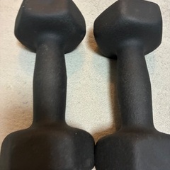 5キロダンベル✖️2の画像