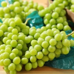スイパラ行きませんか？