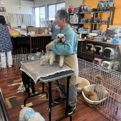 犬好き歓迎！午後4時間・犬同伴OKアルバイト・ドッグフード支給 の画像