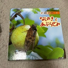 虫 絵本セットの画像