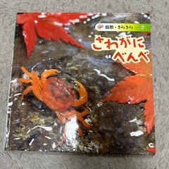 虫 絵本セットの画像