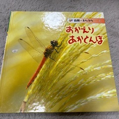 虫 絵本セットの画像