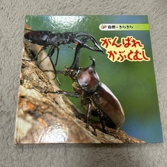 虫 絵本セットの画像