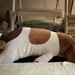 犬の抱き枕の画像