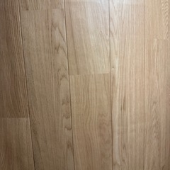 Panasonic かんたん床暖カーペット DC-2V4-MCの画像