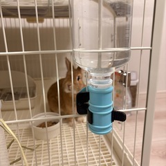 うさぎ等 小動物用ケージ･ドリンクホルダーの画像