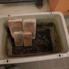 家庭菜園セットの画像