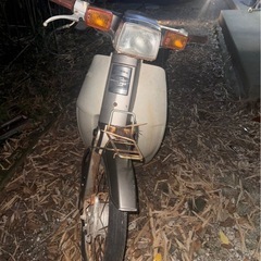 カブの画像