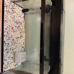 GEXデュアルクリーン600水槽セットの画像