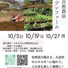 自然農法の圃場体験