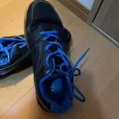 卓球シューズの画像