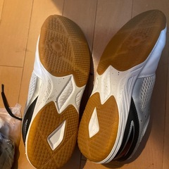 卓球しシューズの画像