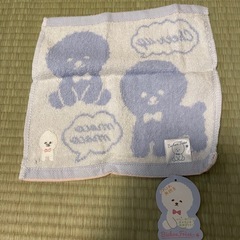 無撚糸ミニタオル　ピションフリーゼの画像