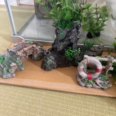 Tetra 水槽　15点セットの画像