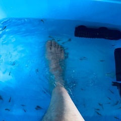 フィッシュセラピー体験出来ます