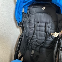 2人乗り Joieエバーライトデュオの画像
