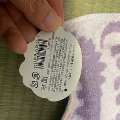 無撚糸ミニタオル　恐竜の画像