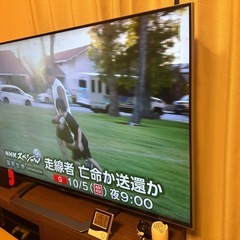 【決まりました】テレビ 60インチ の画像