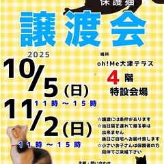 10/5(日)Oh!Me大津テラス保護猫の譲渡会開催🐈