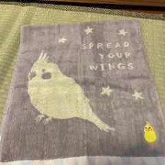 無撚糸フェイスタオル　オカメインコの画像