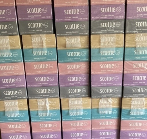 ティッシュ200箱セット！