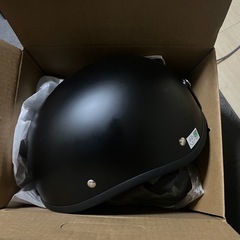 ダックテールヘルメット(フリーサイズ)マッド！の画像