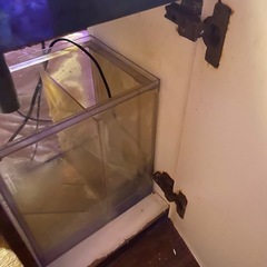 30cmキューブオーバーフロー水槽の画像