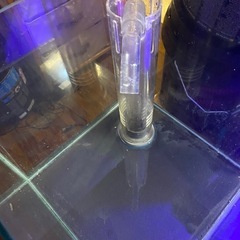 30cmキューブオーバーフロー水槽の画像