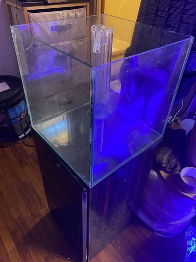 【値下げしました】30cmキューブオーバーフロー水槽