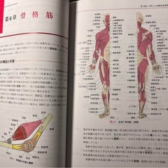 【新品未使用】見て読んで学ぶ 人体解剖生理学 医療 医学書 看護 本の画像