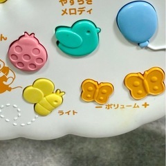 プーメリーの画像