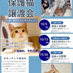 保護猫譲渡会　10月