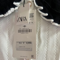ZARAのシャツとForever21の帽子の画像