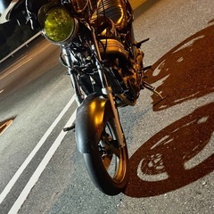zzr250ネイキッド‼️の画像