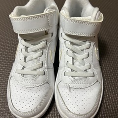 16.5センチの画像