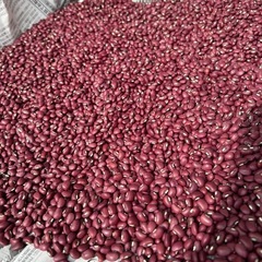 群馬県産　ささげ　赤飯などに　50gの画像