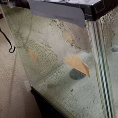 【今週限定】コトブキ 90cm 水槽（ガラス蓋付き） 水槽台 LEDライト セットの画像