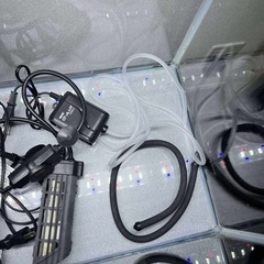 60cm 水槽一式　ジェックス　「美品」 水槽 LEDライト GEXの画像