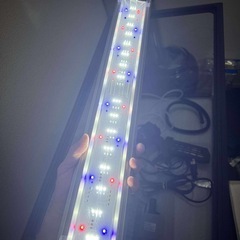 60cm 水槽一式　ジェックス　「美品」 水槽 LEDライト GEXの画像