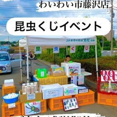 🌈昆虫くじイベントご参加感謝御礼‼️わいわい市藤沢店9/2…