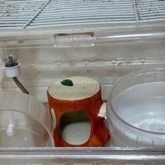 ハムスター ケージ 小動物 の画像