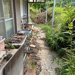草むしり、草刈りいたします。