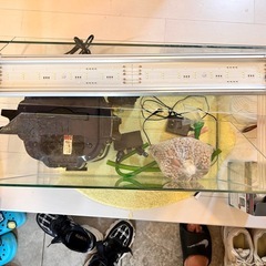 60cmガラス水槽セットの画像
