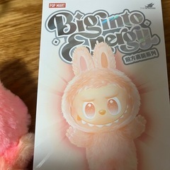 【引き取り限定】ラブブ LABUBUの画像
