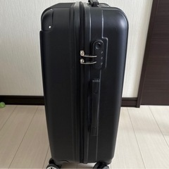 キャリーバッグ　Mサイズの画像