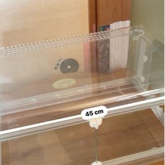グラスハーモニーの画像