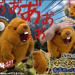 【タグ付き】雄叫び！マーモット　音声ぬいぐるみの画像