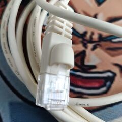 【USED】LANケーブル（Cat5e（カテゴリ5e）)　2.9ｍの画像
